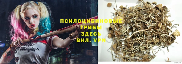 амф Абаза