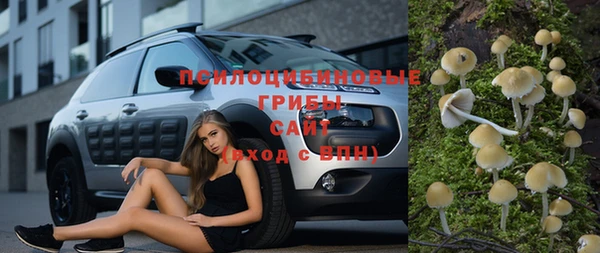 гашик Осинники