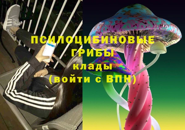амф Абаза
