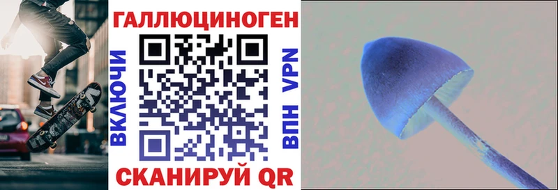 купить  сайты  Бирюсинск  Псилоцибиновые грибы GOLDEN TEACHER 
